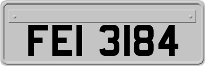 FEI3184