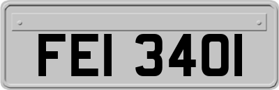 FEI3401