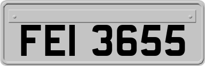 FEI3655