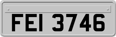 FEI3746