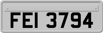 FEI3794
