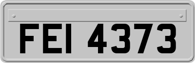 FEI4373