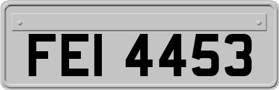 FEI4453