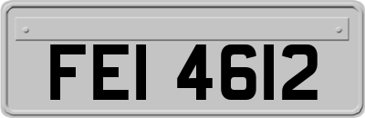 FEI4612