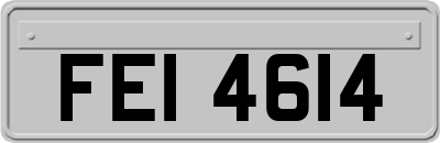 FEI4614