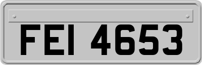 FEI4653