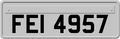 FEI4957