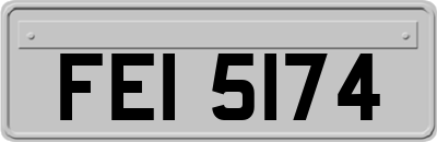 FEI5174