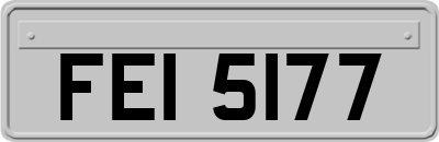 FEI5177