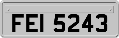 FEI5243