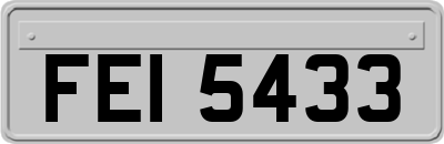 FEI5433