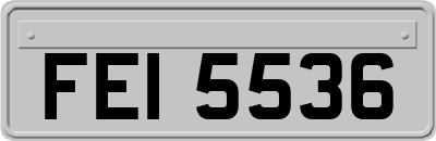 FEI5536