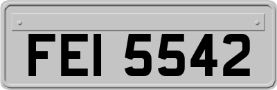 FEI5542