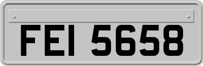 FEI5658