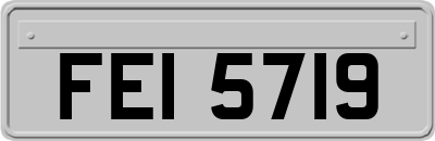FEI5719