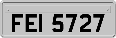 FEI5727