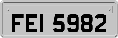 FEI5982