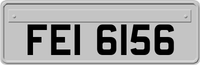FEI6156