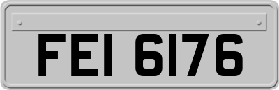 FEI6176