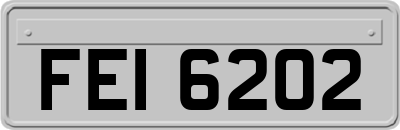 FEI6202