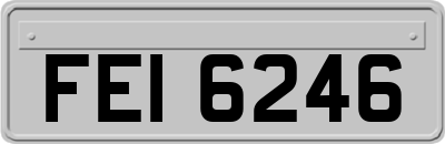 FEI6246
