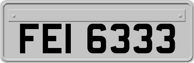 FEI6333