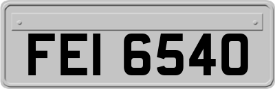 FEI6540
