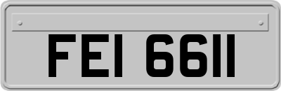 FEI6611