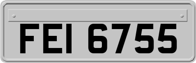 FEI6755