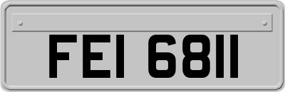 FEI6811