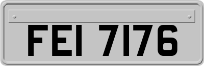 FEI7176