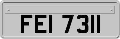 FEI7311