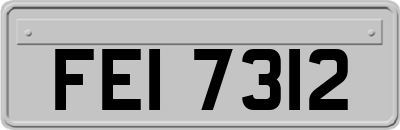 FEI7312