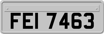FEI7463