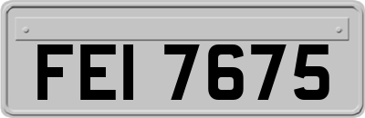 FEI7675