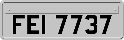 FEI7737