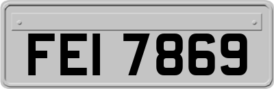 FEI7869