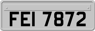 FEI7872