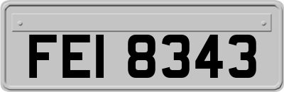 FEI8343