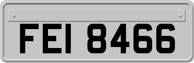 FEI8466
