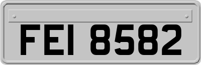 FEI8582