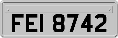 FEI8742