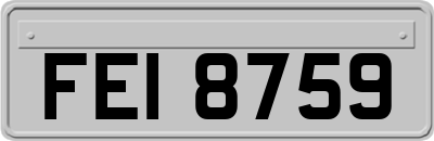 FEI8759