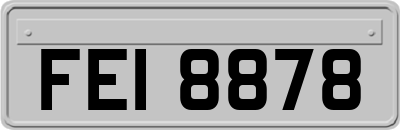 FEI8878