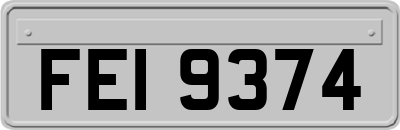 FEI9374