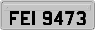 FEI9473