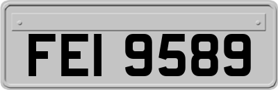 FEI9589