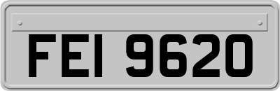 FEI9620
