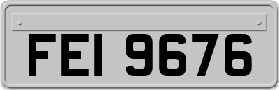 FEI9676
