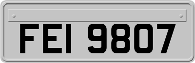 FEI9807